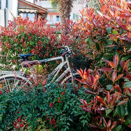 아파트 Lili 포레치